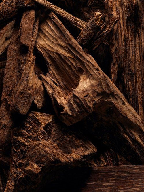 Parfums Boisé