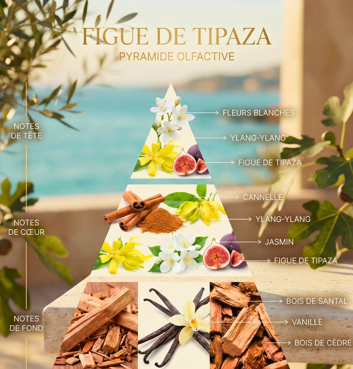 Figue De Tipaza 50ml